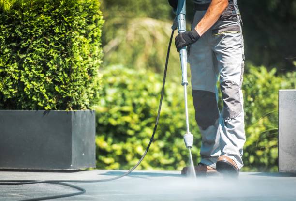 Best Solar Panel Cleaning  in Tchula, MS