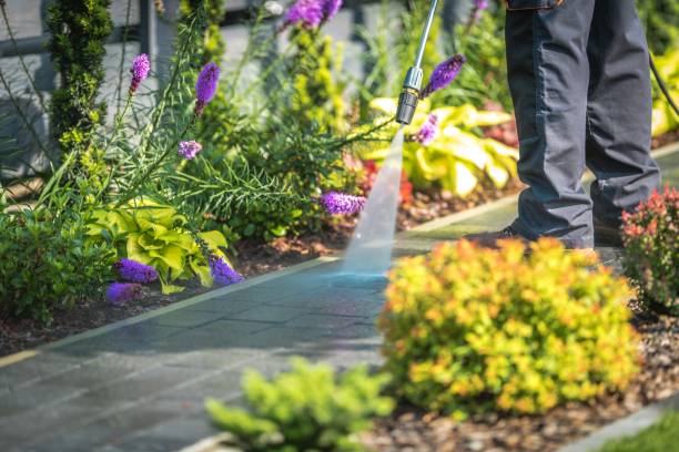 Best Patio and Deck Pressure Washing  in Tchula, MS